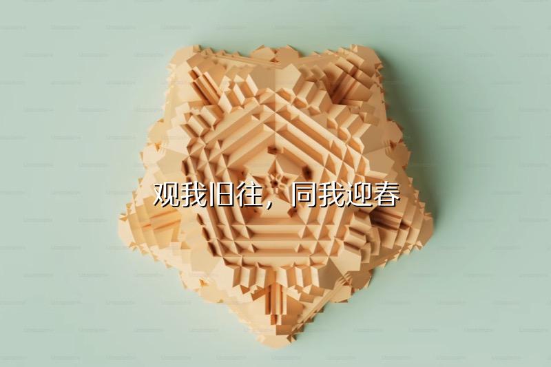 观我旧往，同我迎春
